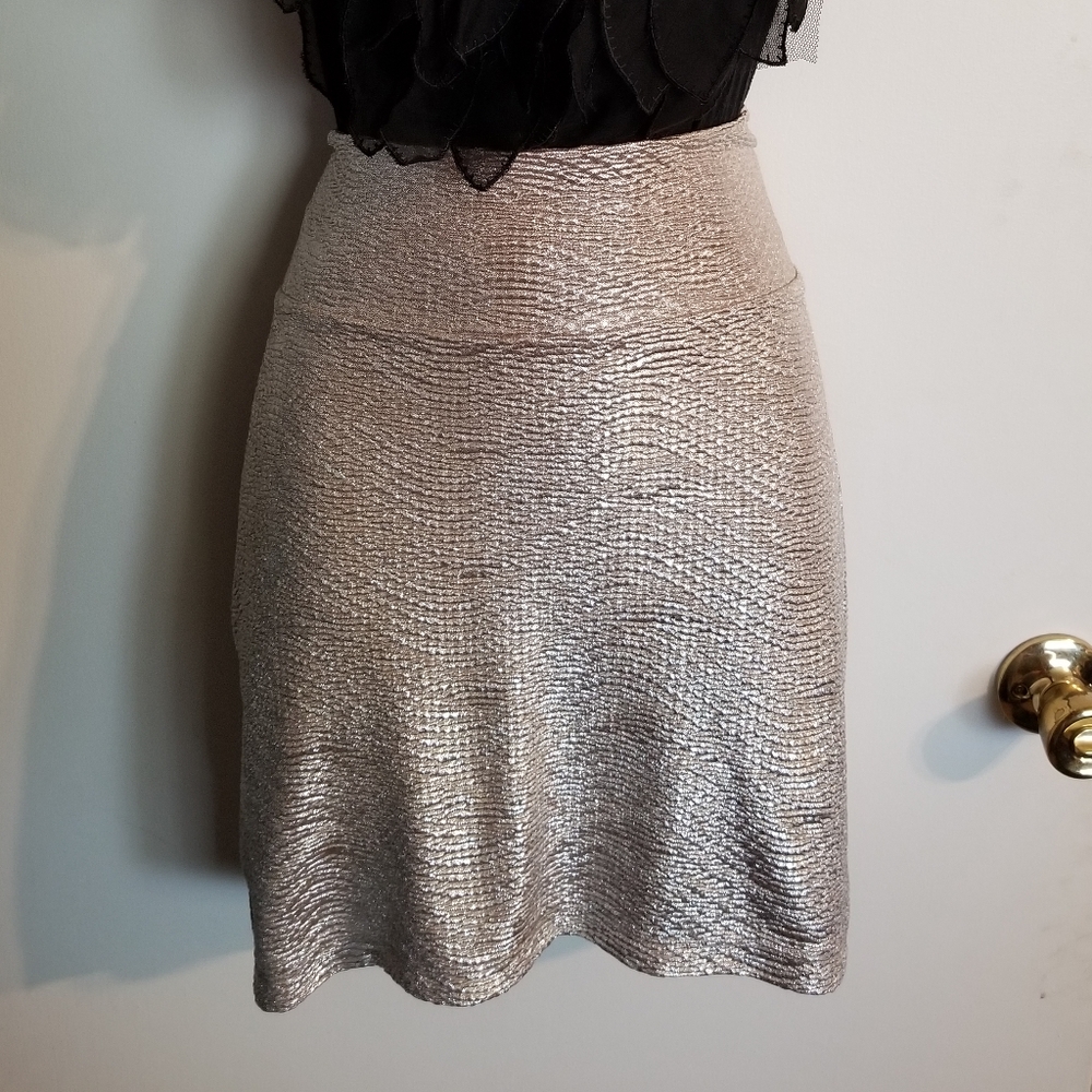 Champagne metallic skirt large